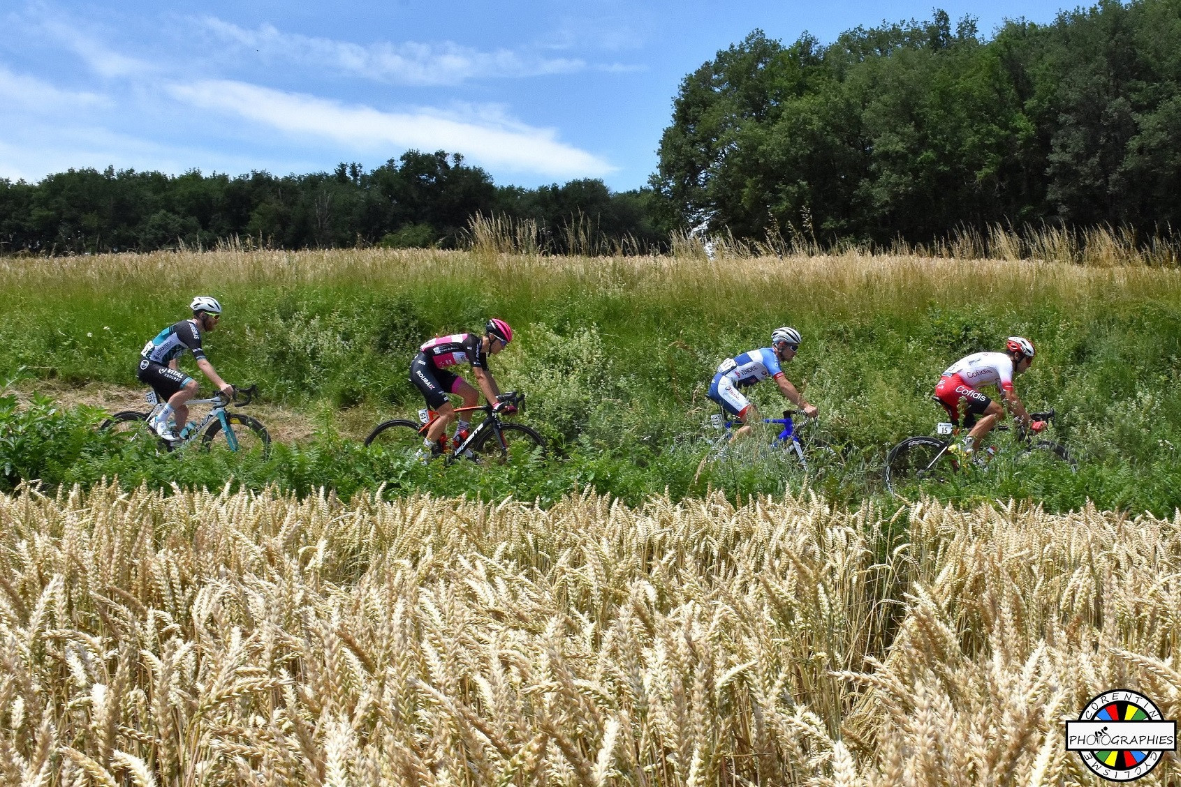 Route d'Occitanie Et. 4 Les réactions Actualité DirectVelo