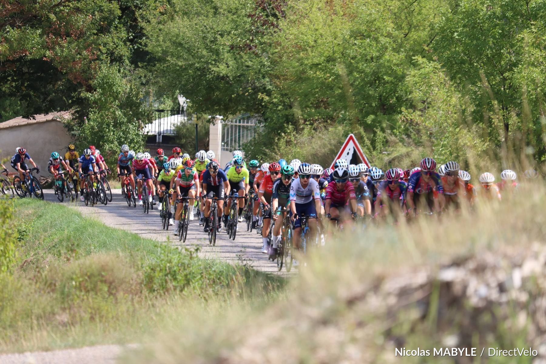 Tour de Suisse Féminin 2023 : Les équipes engagées